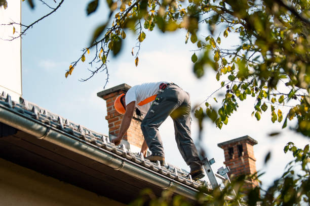 Best Roof Maintenance Services  in New Market, VA