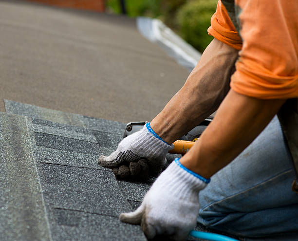 Best Gutter Installation and Roofing  in New Market, VA
